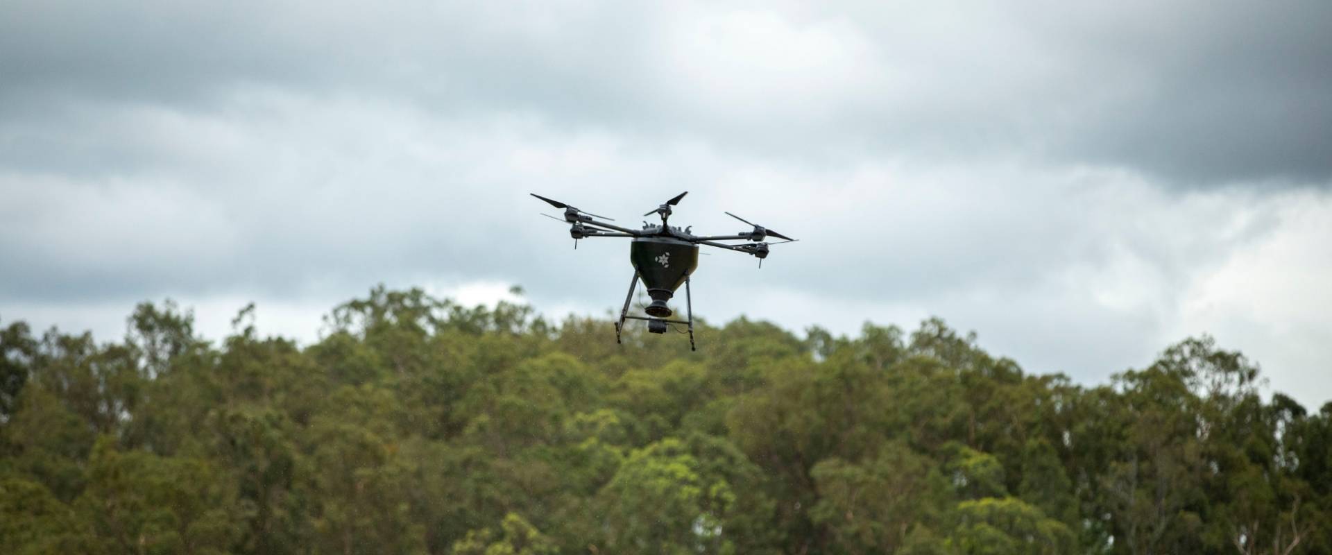 Dendra Systems’ aerial seeding platform spreads millions of seeds to restore koala habitats in Australia