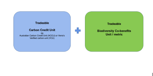 Carbon: Biodiversity Co-Benefits- Part 2 | Blog | Dendra Systems