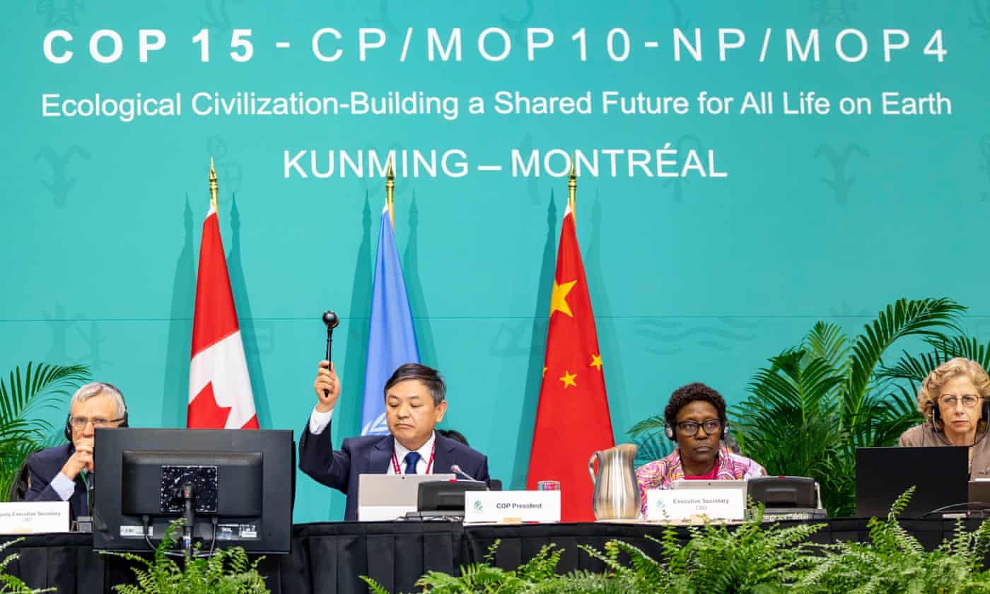 7 important agreements reached at COP15