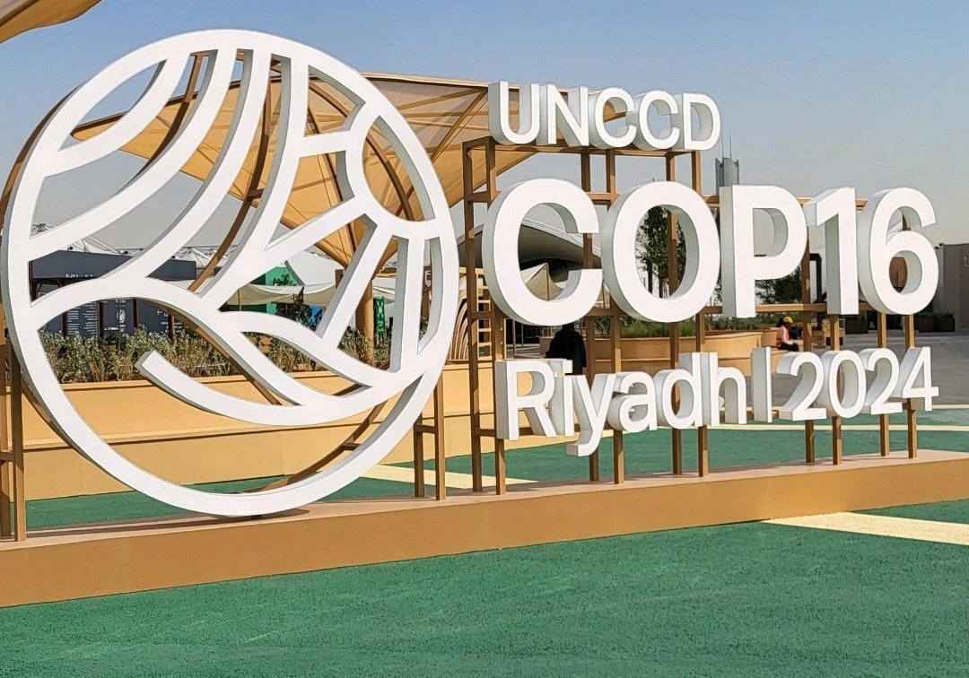 Celebrating Progress and Partnerships at COP16:  A Commitment to Environmental Restoration